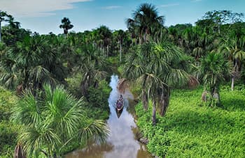Eco Paradise