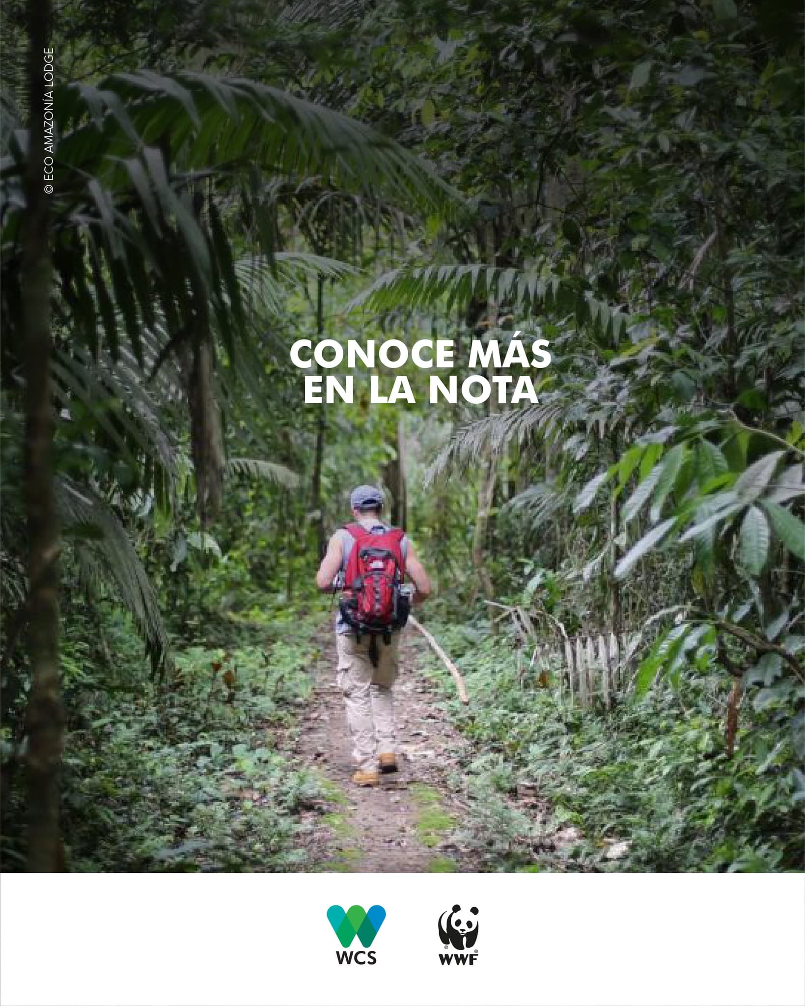 Madre de Dios: Paraíso Amazónico – Eco Amazonía adds 4500+ hectares to conservation