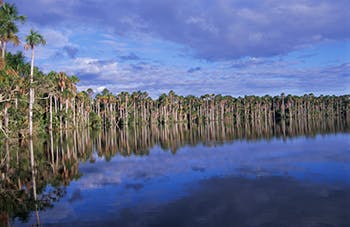 Eco Lago Sandoval